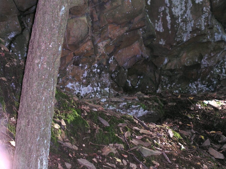 P1010095.JPG