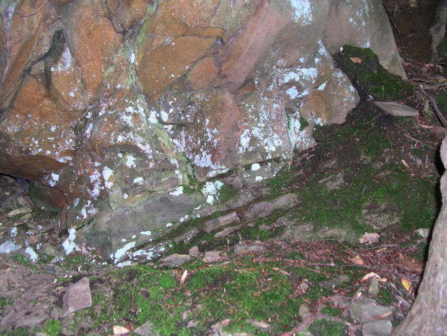 P1010097.JPG