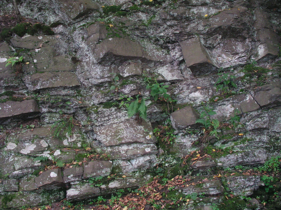 P1010028.JPG