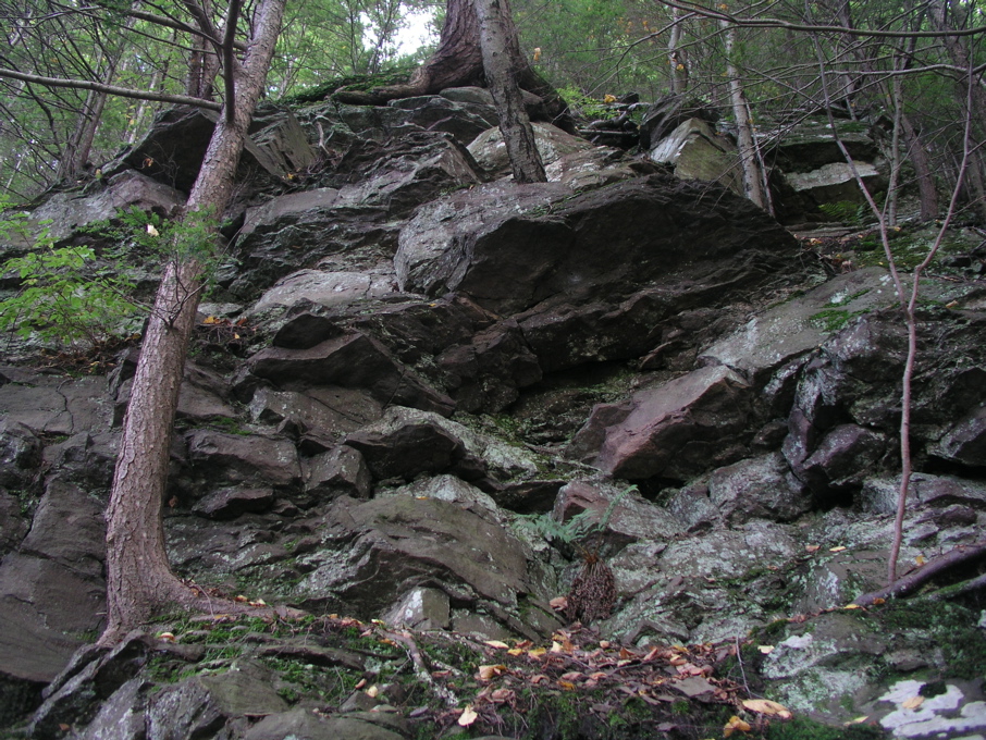 P1010036.JPG