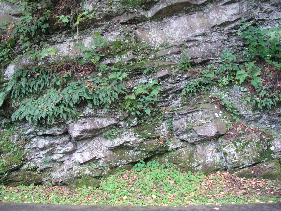 P1010037.JPG