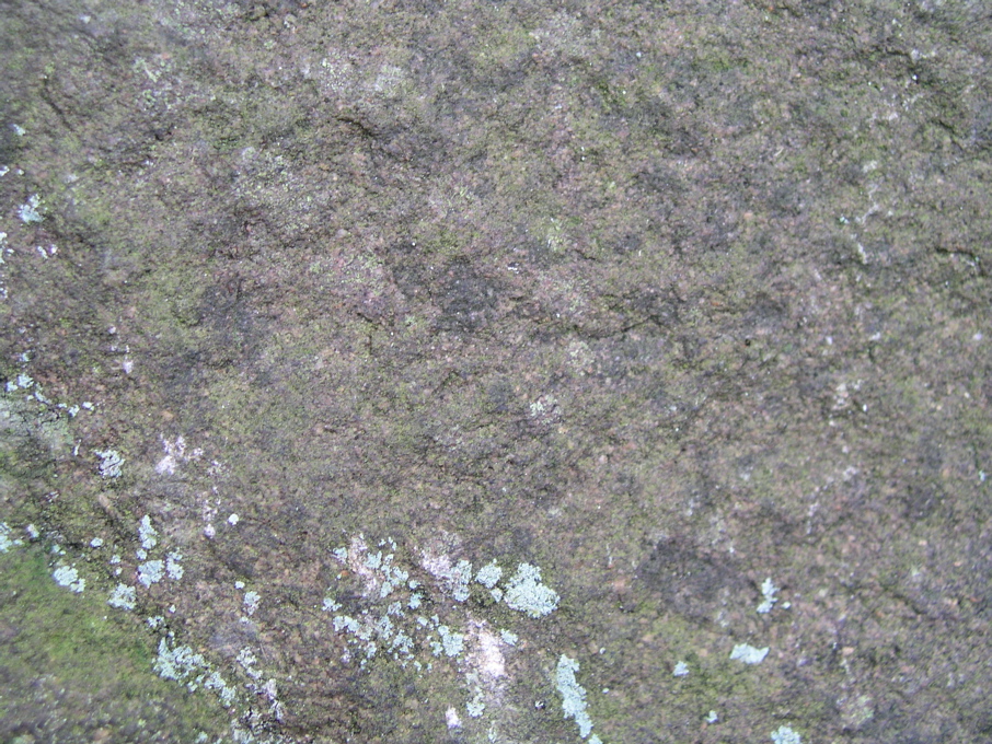 P1010041.JPG