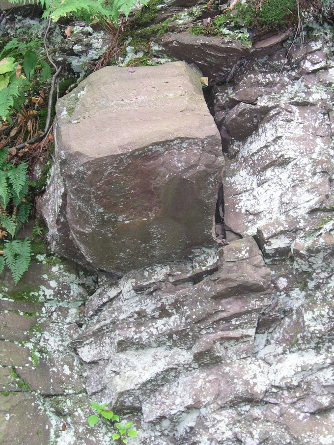 P1010044.JPG