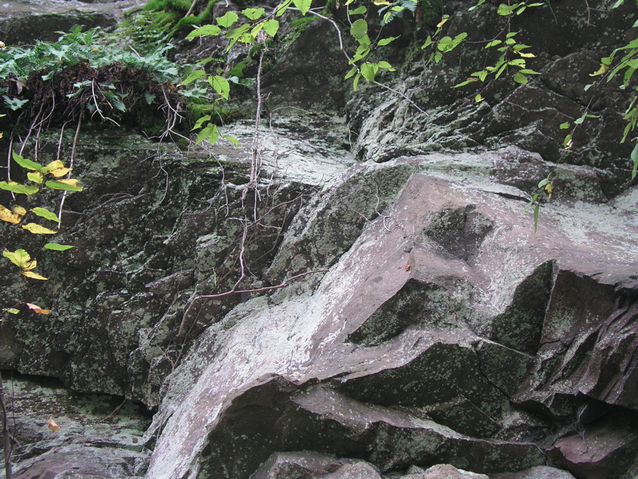 P1010045.JPG