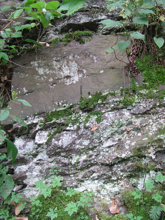 P1010049.JPG