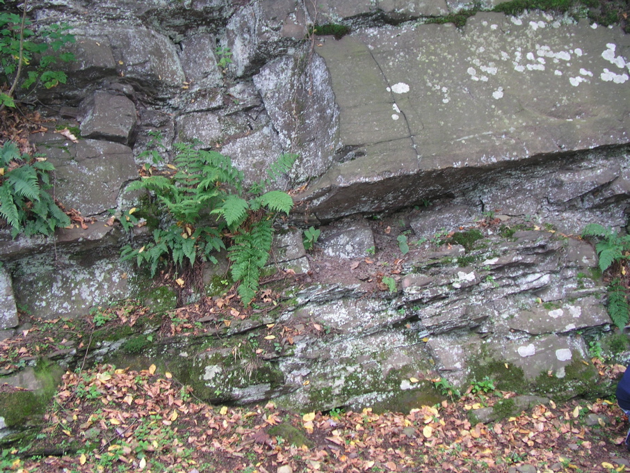 P1010052.JPG