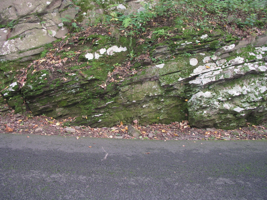 P1010060.JPG