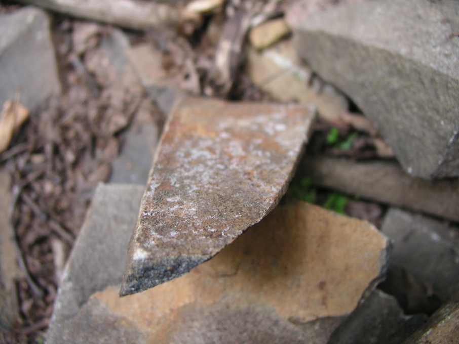 P1010077.JPG