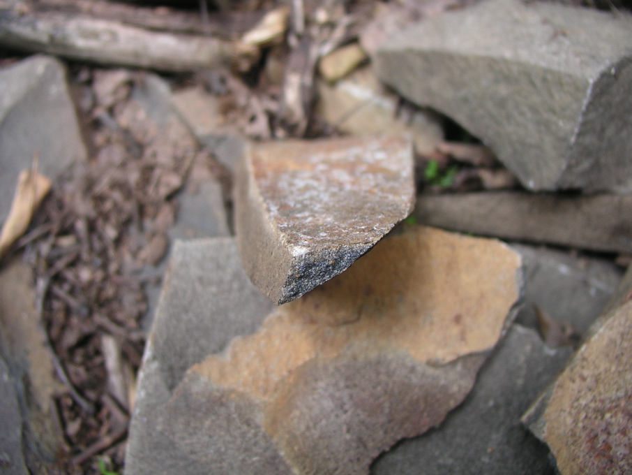 P1010078.JPG