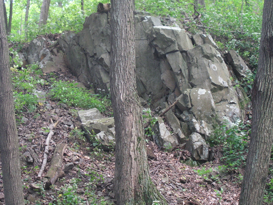 P1010082.JPG