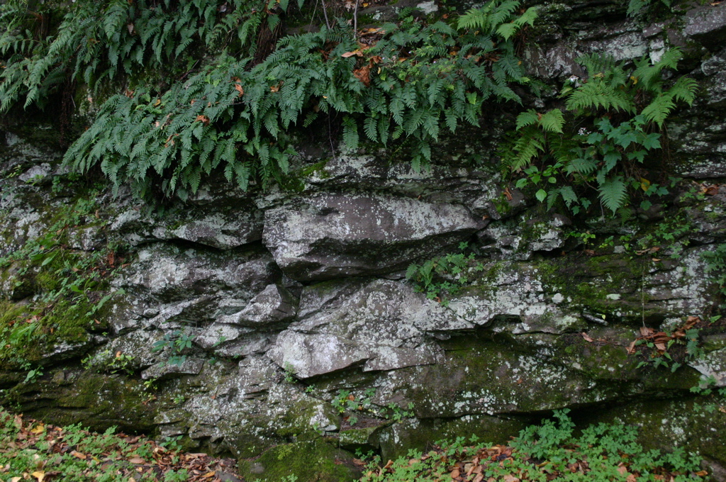 IMG_0991.JPG