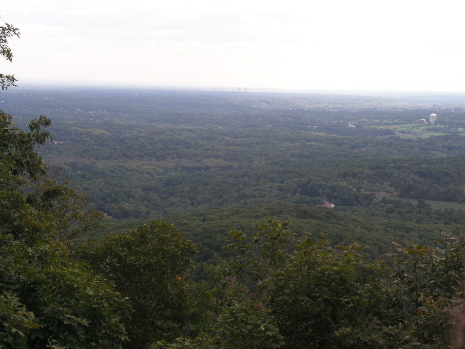 P1010086.JPG