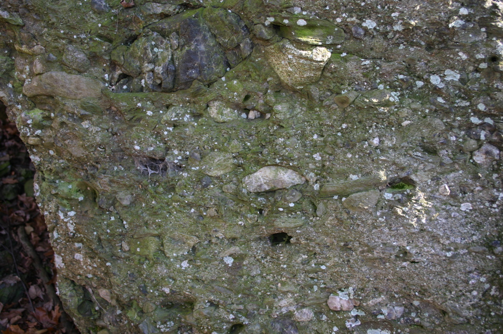 IMG_1684.JPG