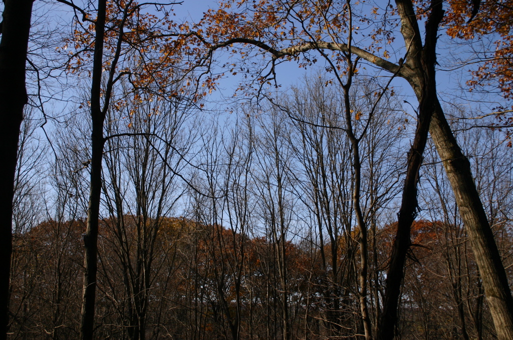IMG_1686.JPG