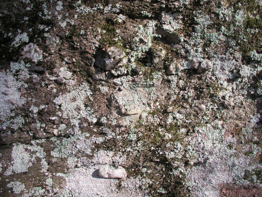 P1010002.JPG