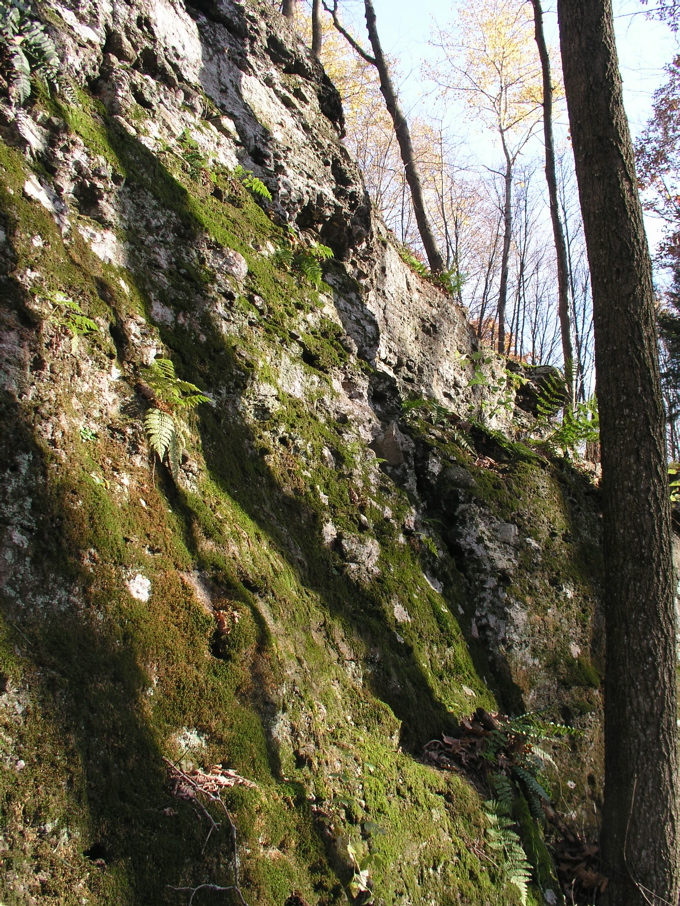 P1010005.JPG