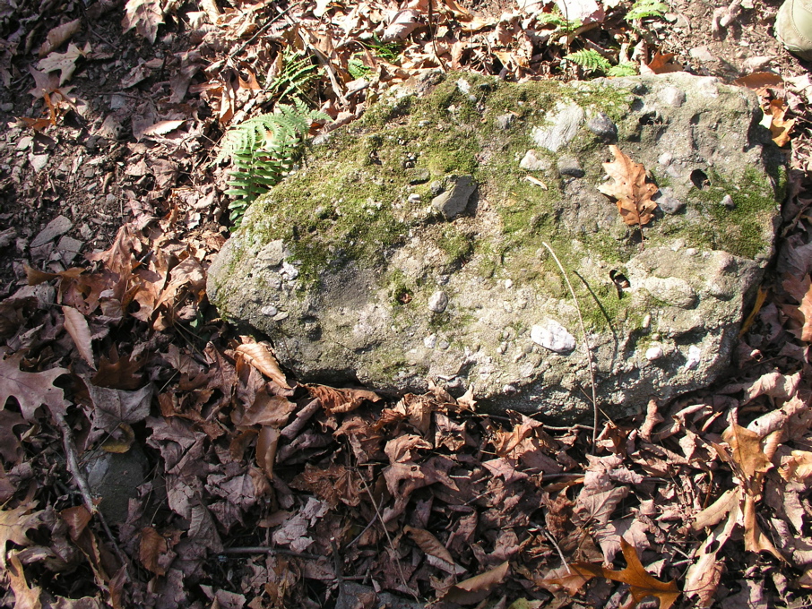 P1010008.JPG