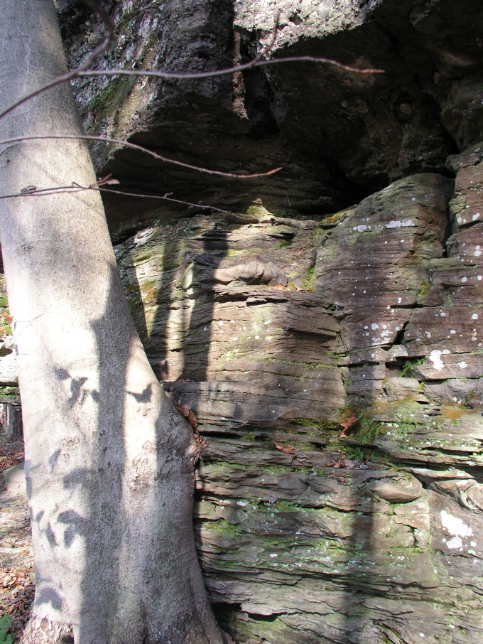 P1010014.JPG