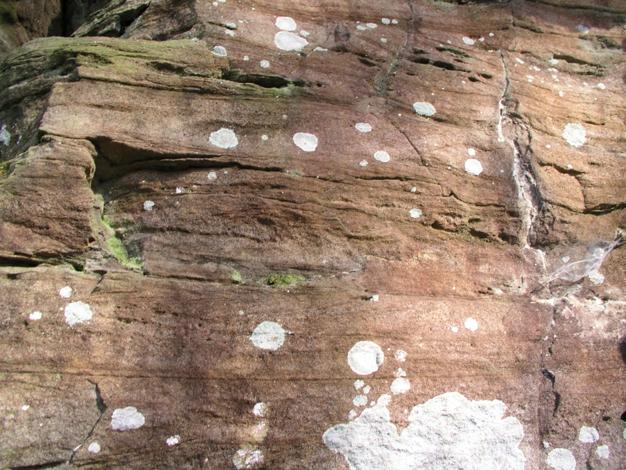 P1010020.JPG