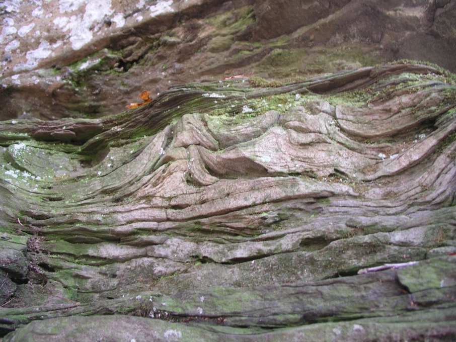 P1010026.JPG