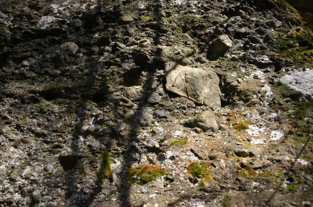 IMG_1673.JPG