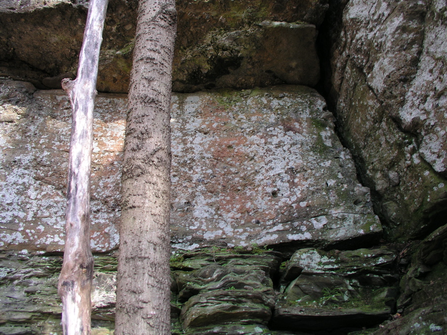P1010027.JPG
