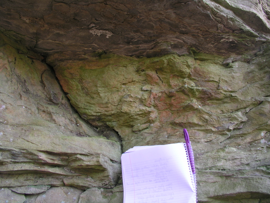 P1010028.JPG