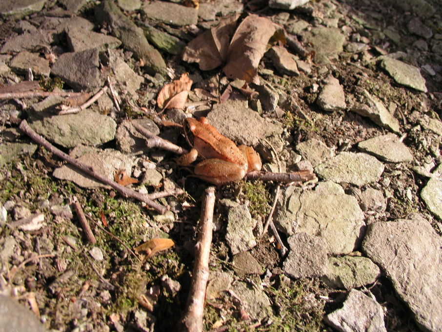 P1010029.JPG