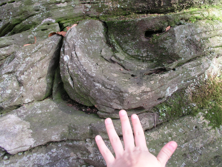 P1010031.JPG