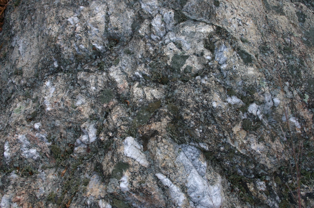 IMG_1706.JPG