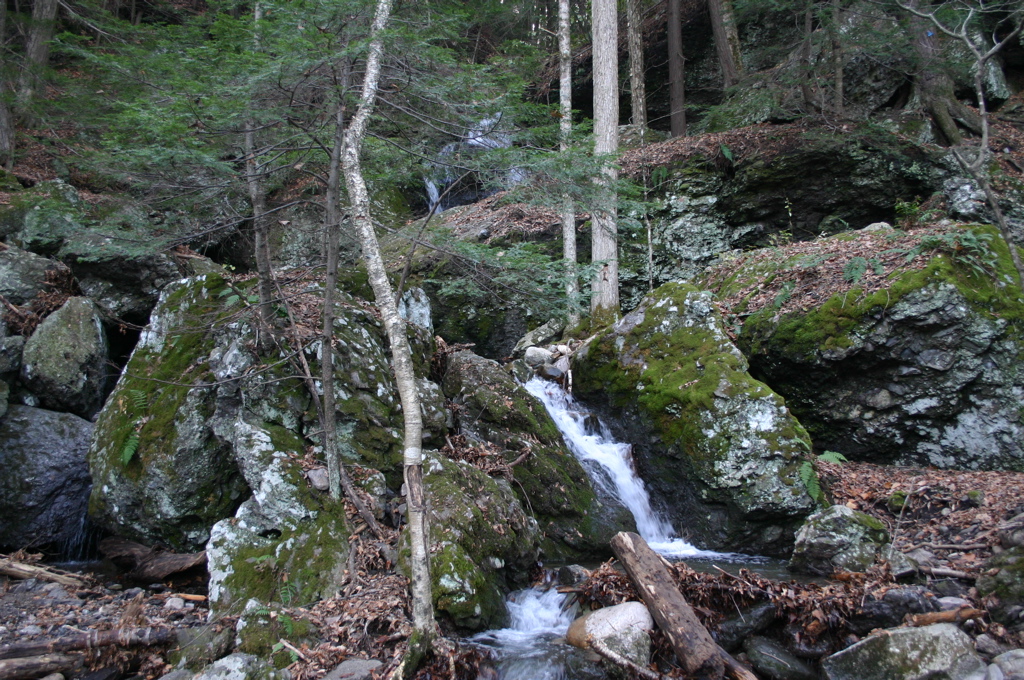 IMG_1708.JPG