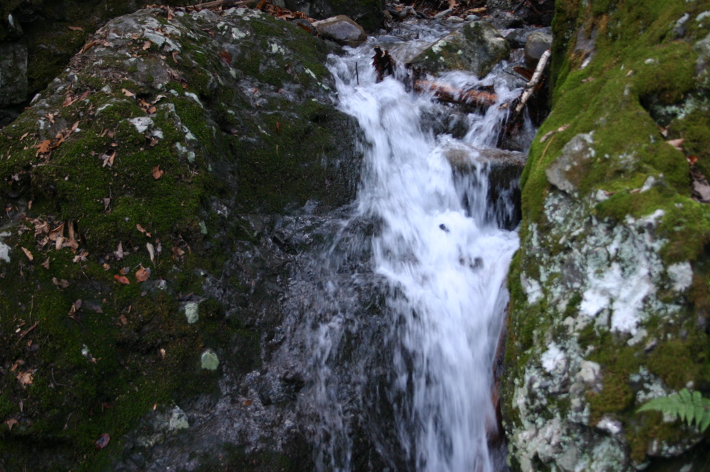 IMG_1710.JPG