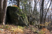 IMG_1667.JPG