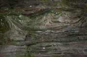 IMG_1682.JPG