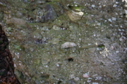 IMG_1684.JPG