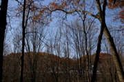 IMG_1686.JPG