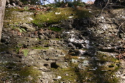 IMG_1669.JPG