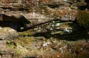 IMG_1670.JPG