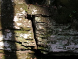 P1010006.JPG