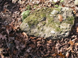P1010008.JPG