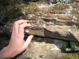 P1010010.JPG