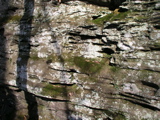 P1010011.JPG