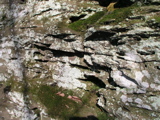 P1010012.JPG