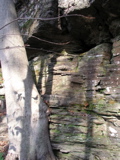 P1010014.JPG