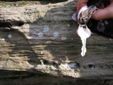 P1010015.JPG