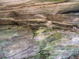 P1010016.JPG
