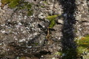IMG_1672.JPG