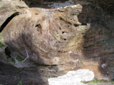 P1010019.JPG