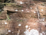 P1010020.JPG