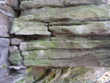 P1010022.JPG